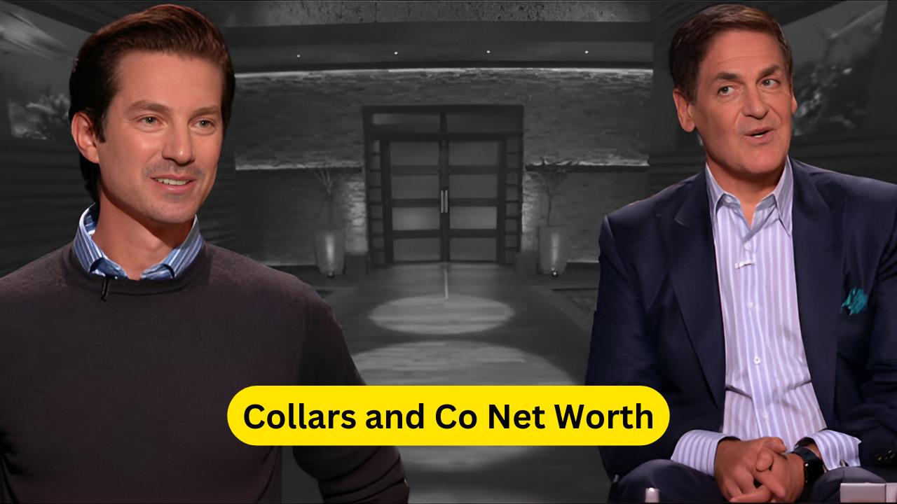 Collars and Co Net Worth